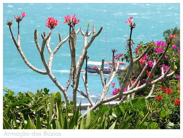 Turismo en America Latina -  7 noches Buzios - Hotel Buzios Beach Resort - Búzios